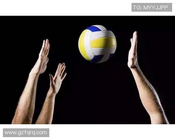 赵磊独家分享排球心得与技巧助你提升竞技水平与团队配合能力