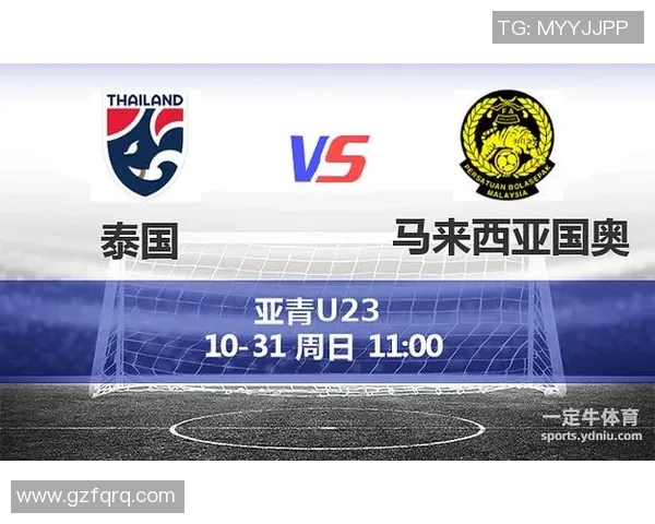 泰国市场上是否存在VS品牌的相关信息与产品分析