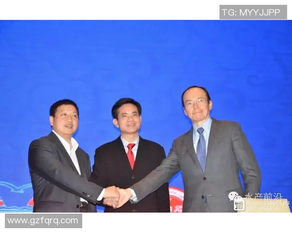 独家解读V5团队协作模式的优势与不足对比分析MBA