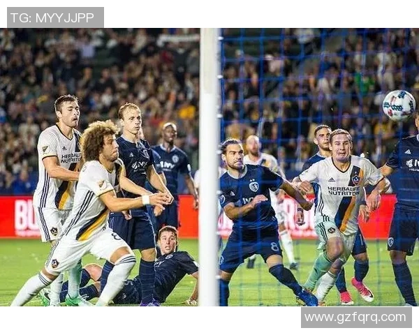 圣何塞地震对比纽约城的城市韧性与应急管理策略分析