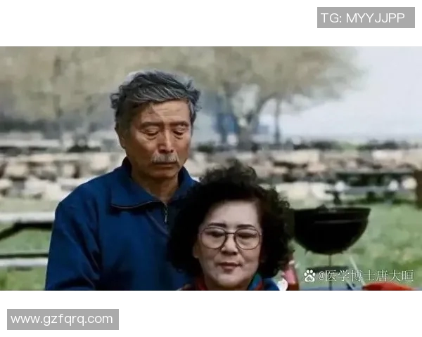 李安导演的艺术之路与电影文化的深远影响探讨