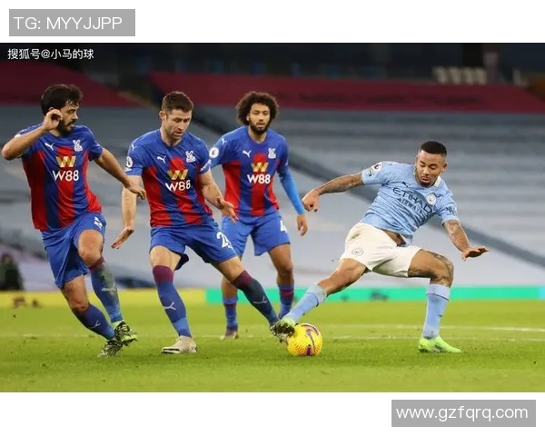 水晶宫主场迎战纽卡斯全力争胜展现英超精彩对决