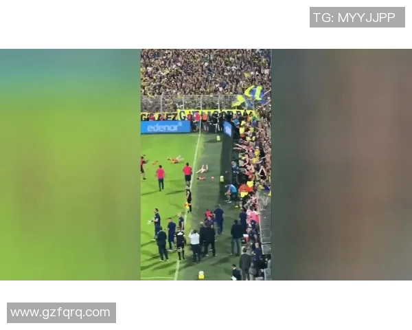 球迷疯狂冲入场内抢C罗球衣引发热议的欧冠奇观 球迷疯狂冲入场内抢C罗球衣引发热议的欧冠奇观