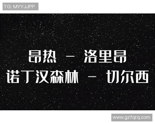 里昂与昂热的对决结果揭晓谁将成为胜者的荣耀之师