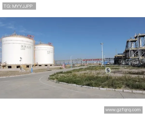 LNG快攻策略分析：成功与失败的关键因素探讨