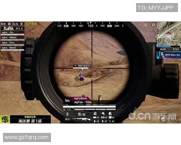 和平精英战术分析：深度剖析FPX团队的游戏意识与决策能力